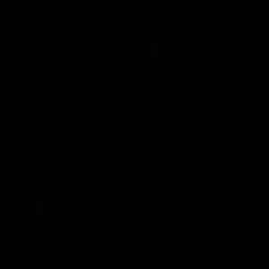 Meet your Posher, Lilli